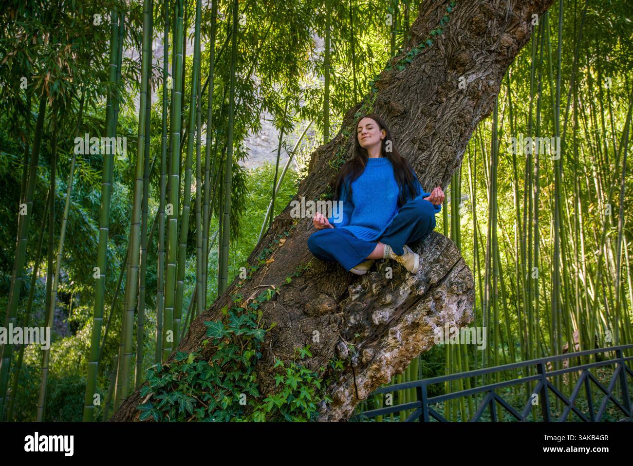 Giovane donna che gode della primavera nel Parco Botanico in posizione LOTUS (esercizio di yoga). Si arrampica sull'albero e si siede qui (questo grande albero circonda da molti Foto Stock