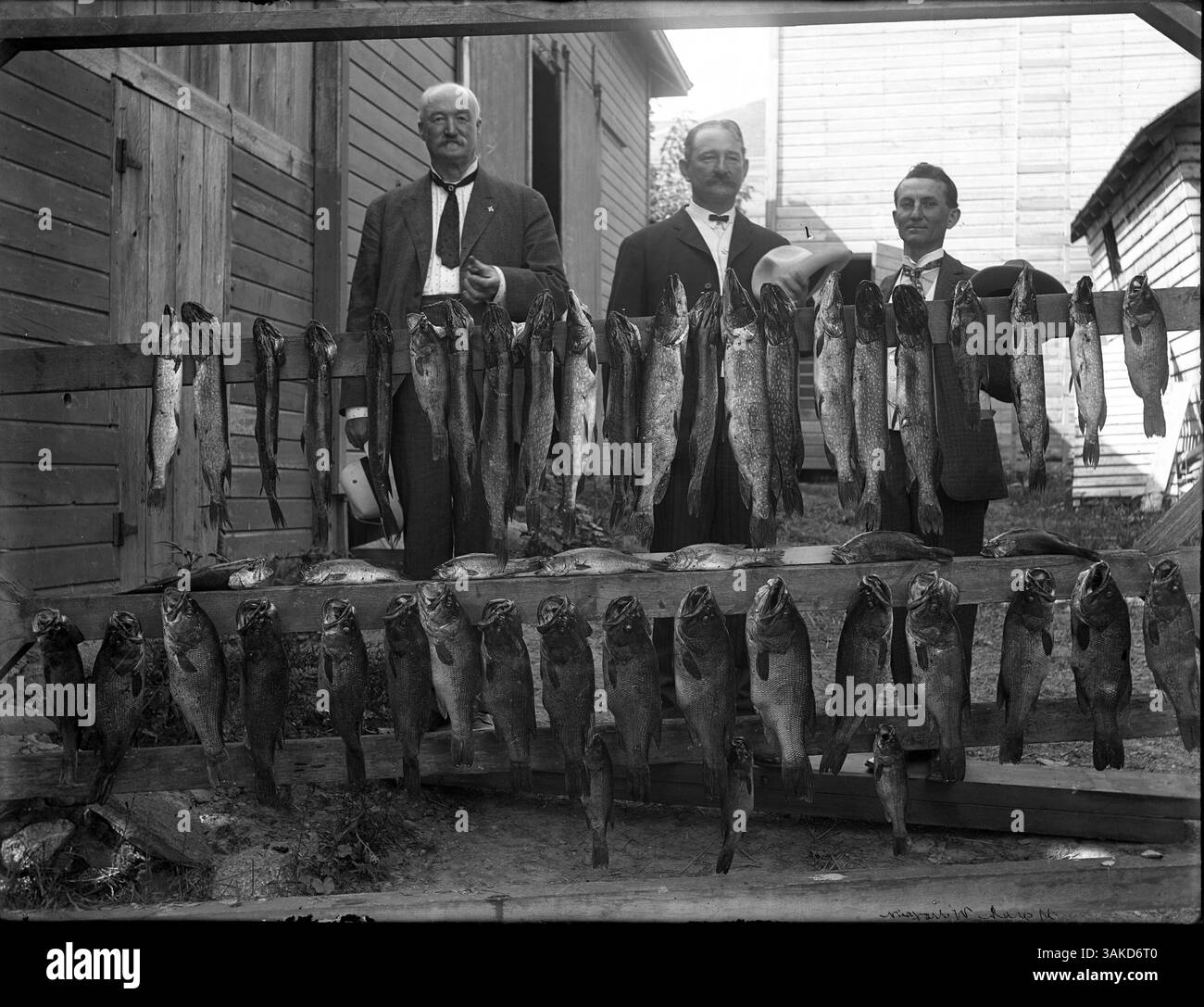 Un gruppo di uomini provenienti da Carrolton, Missouri, è raffigurato con una grande cattura di pesce sul lago Minnetonka, che sottolinea il successo della loro battuta di pesca. Foto Stock