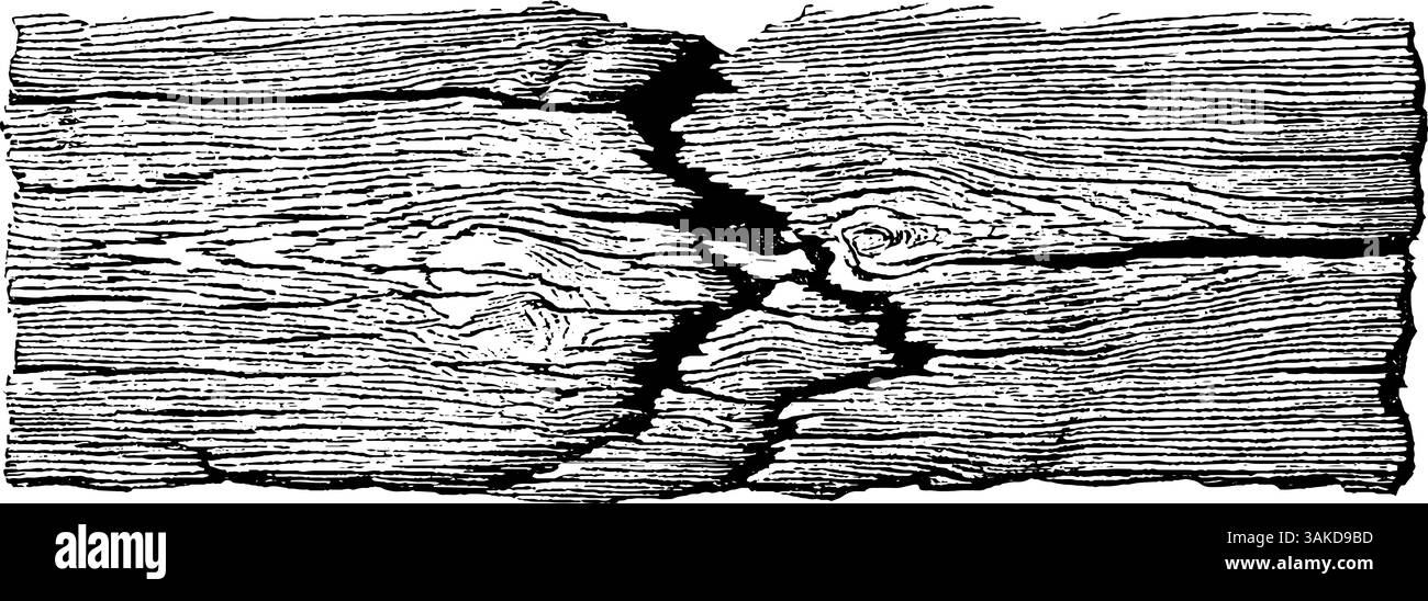 Illustrazione incisa di insegne in legno incrinate per progetti artistici e di design rustico. Illustrazione Vettoriale