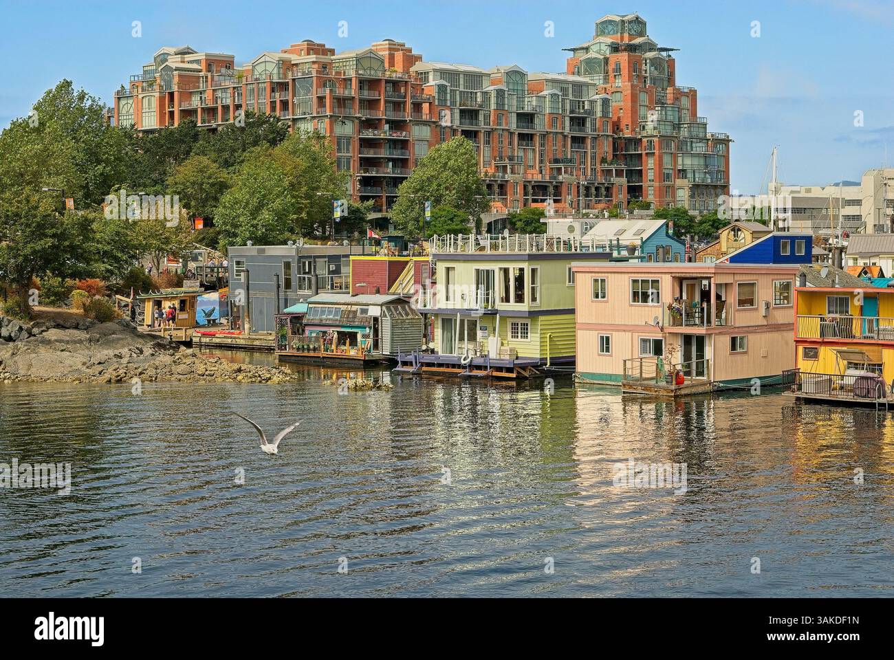 Gabbiano che vola su case galleggianti colorate che costeggiano le banchine del Fisherman's Wharf nel porto di Victoria, Vancouver Island, Columbia Britannica Foto Stock