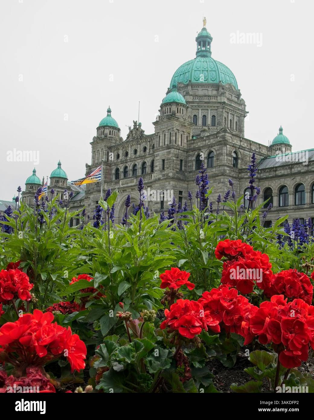 Edificio del Parlamento della Columbia Britannica in stile neo-barocco del 1898, sotto il cielo coperto, incorniciato da giardini pieni di geranio rosso brillante a Victoria, Vancouver, ISL Foto Stock