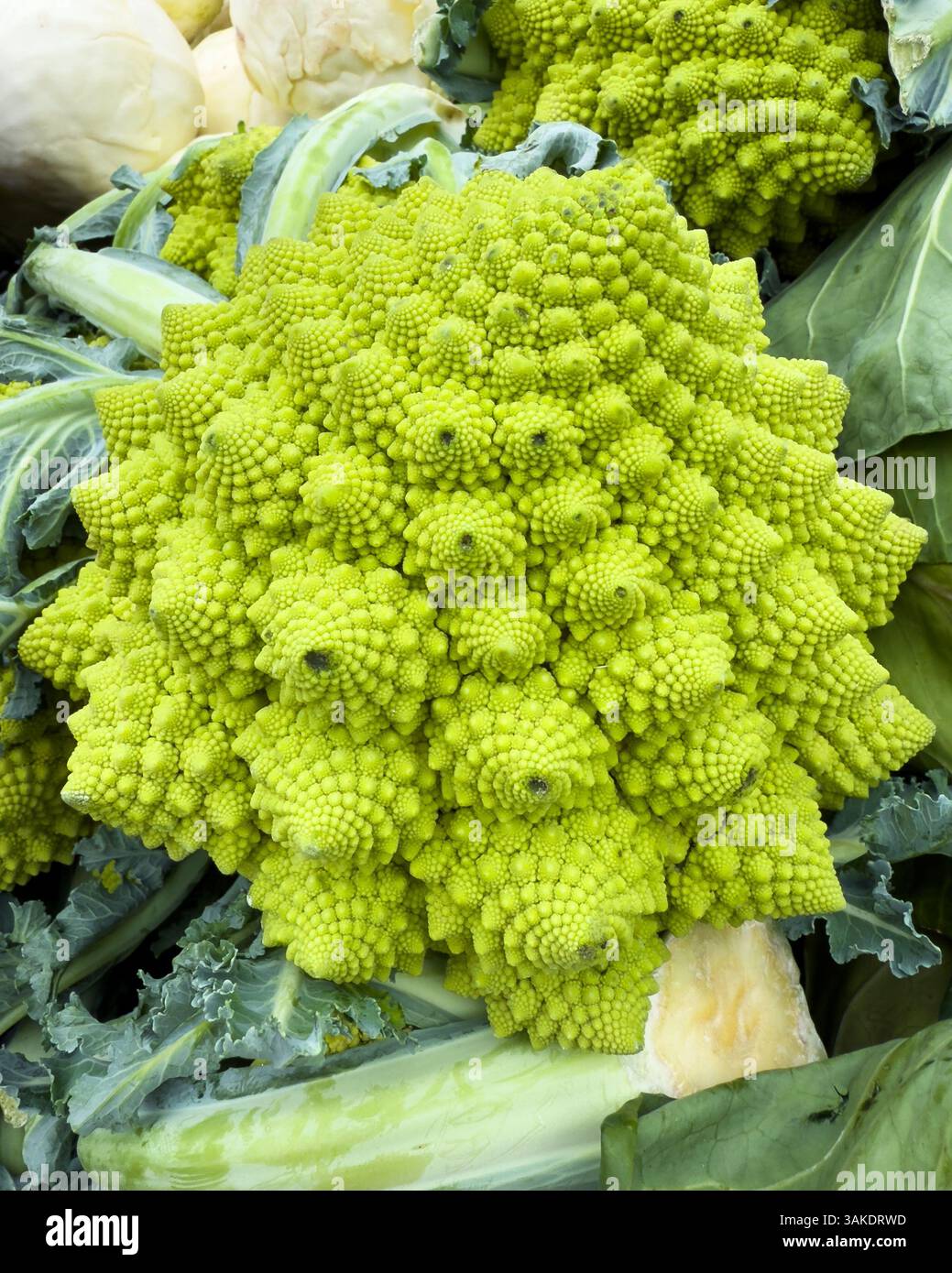 Il broccoli Romanesco al mercato si stalla in primo piano Foto Stock