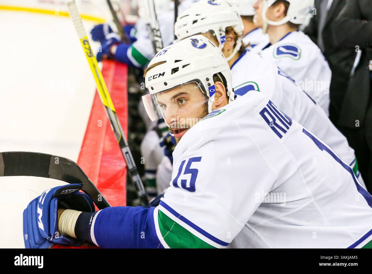 1° dicembre 2013 - Raleigh, North Carolina, U. S - centro dei Vancouver Canucks Brad Richardson (15) durante la partita della NHL tra i Vancouver Canucks e i Carolina Hurricanes alla PNC Arena. I Vancouver Canucks sconfissero i Carolina Hurricanes per 3-2. (Immagine di credito: © Andy Martin Jr./ZUMAPRESS.com) Foto Stock