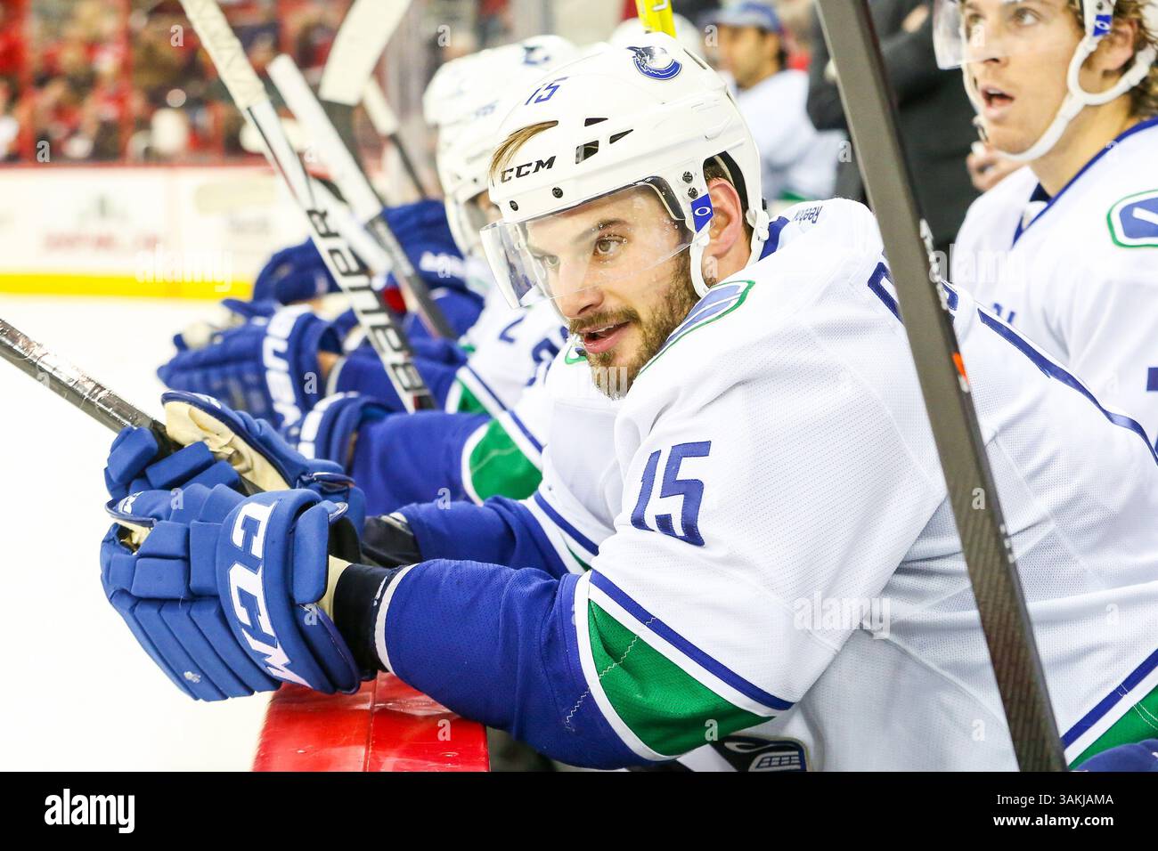 1° dicembre 2013 - Raleigh, North Carolina, U. S - centro dei Vancouver Canucks Brad Richardson (15) durante la partita della NHL tra i Vancouver Canucks e i Carolina Hurricanes alla PNC Arena. I Vancouver Canucks sconfissero i Carolina Hurricanes per 3-2. (Immagine di credito: © Andy Martin Jr./ZUMAPRESS.com) Foto Stock