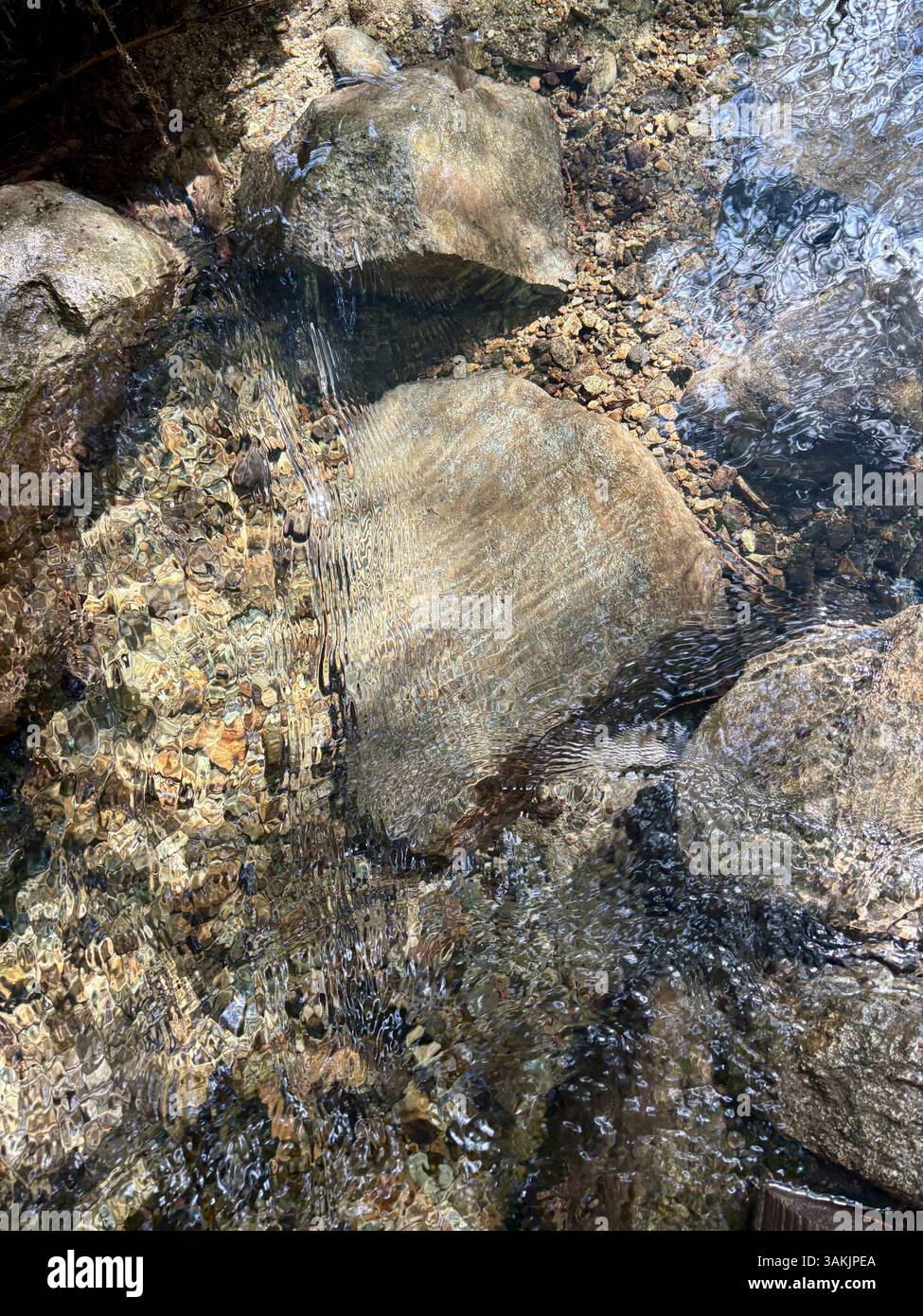 L'acqua del flusso trasparente scorre sopra le rocce - Immagine stock catturata con smartphone