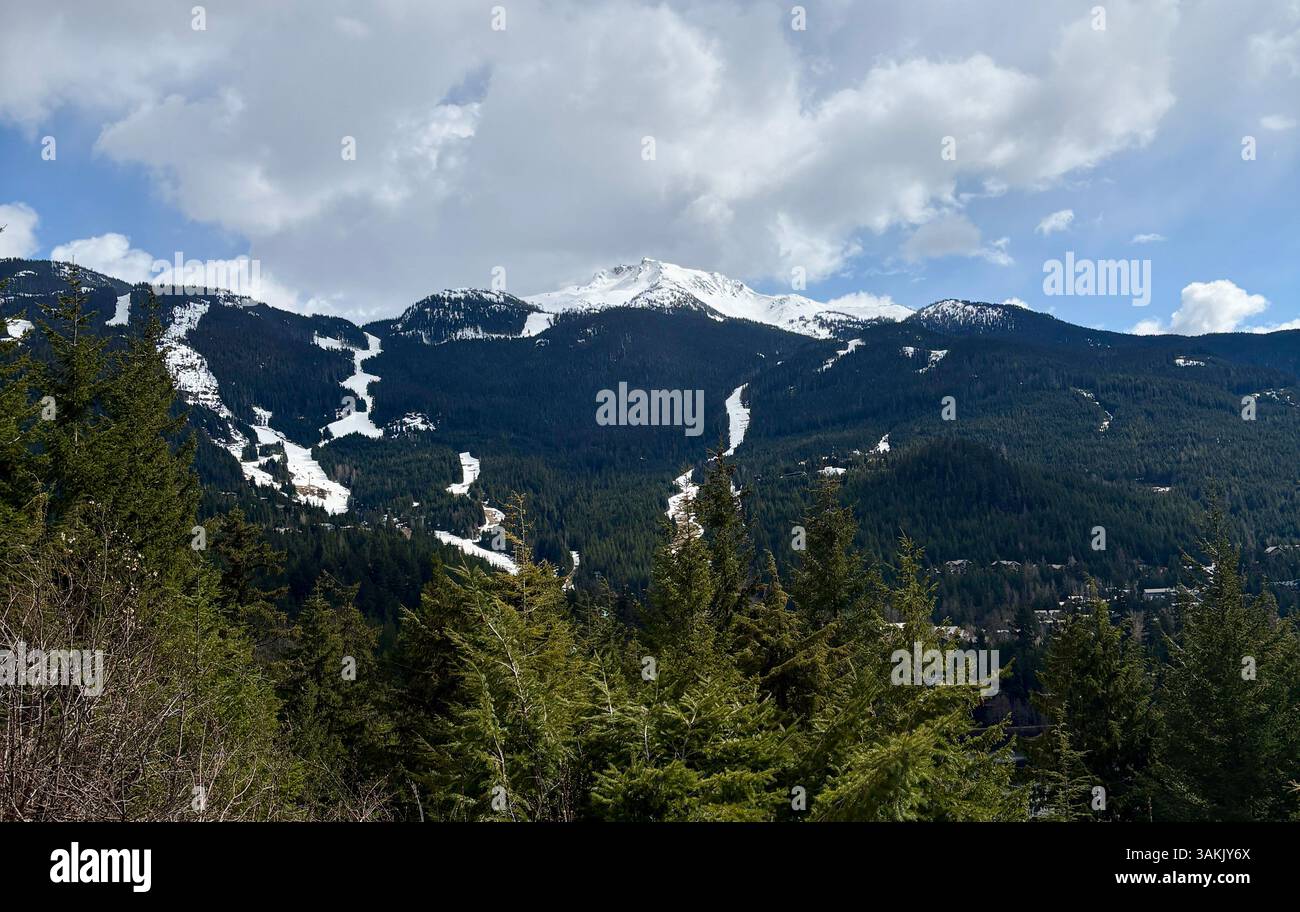 Montagna innevata con piste da sci e fitta foresta Evergreen - Immagine stock catturata con smartphone