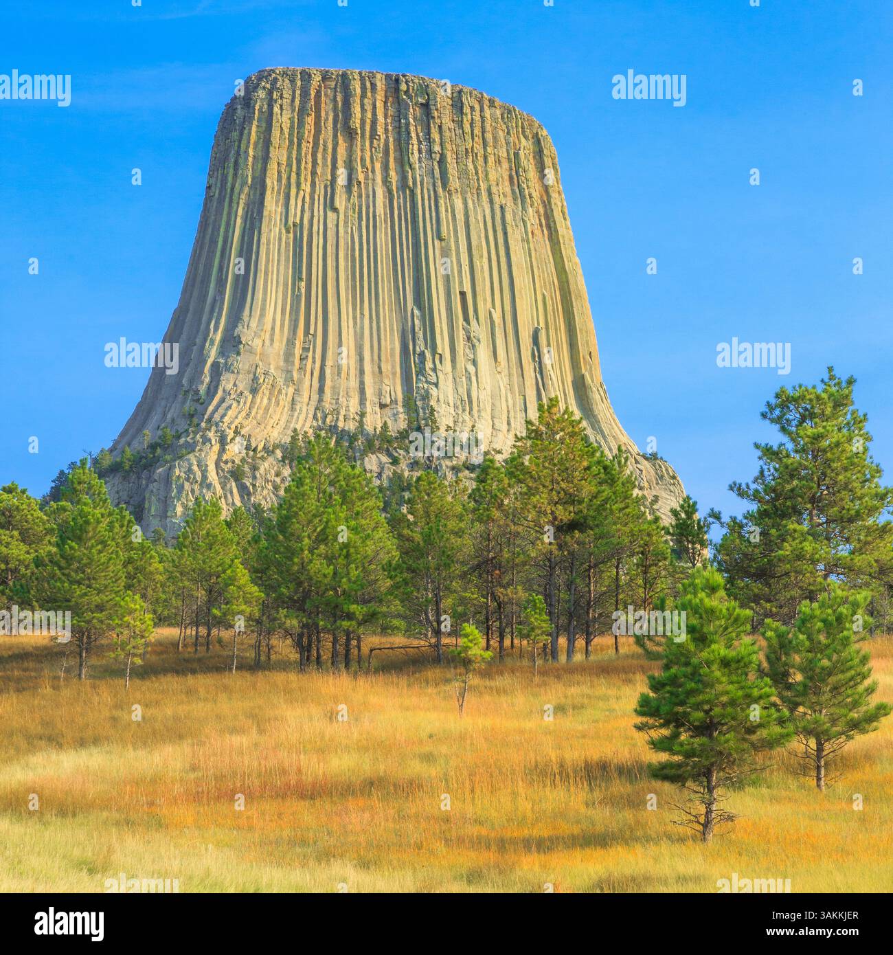 Devils Tower National Monument vicino a hulett, wyoming Foto Stock