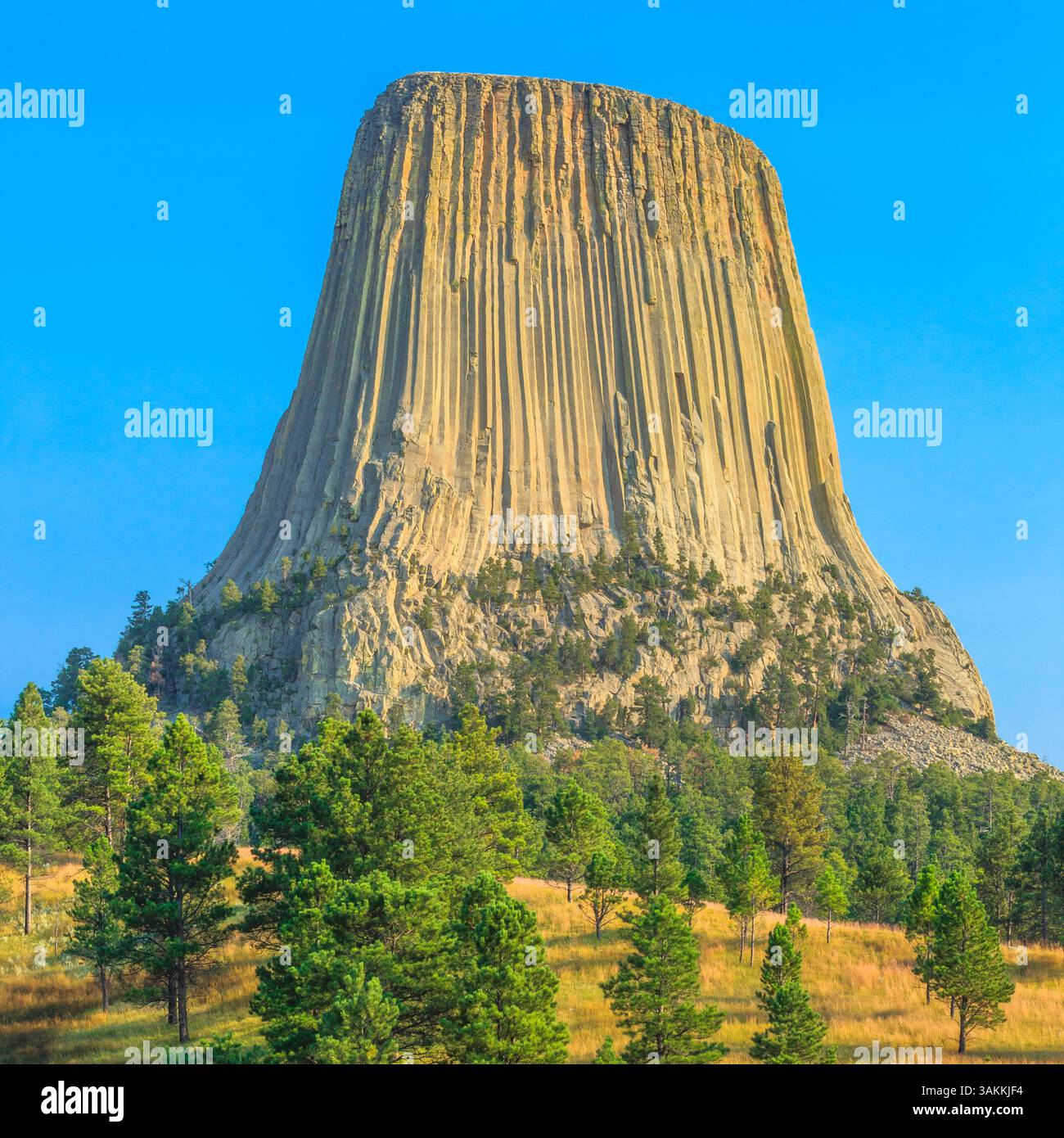 Devils Tower National Monument vicino a hulett, wyoming Foto Stock
