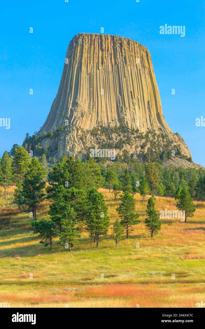 Devils Tower National Monument vicino a hulett, wyoming Foto Stock