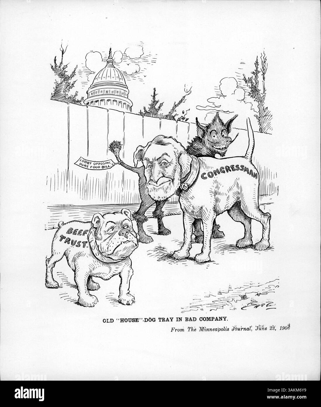 Il cartone animato politico raffigura il levriero del Congresso accanto alla lobby che si oppone al cane Pure Food Bill e al cane Beef Trust. Fa riferimento alle diverse versioni del Pure Food Bill approvato dalla camera e dal Senato nel 1906, che ritardò e probabilmente ostacolò il passaggio del disegno di legge. Foto Stock