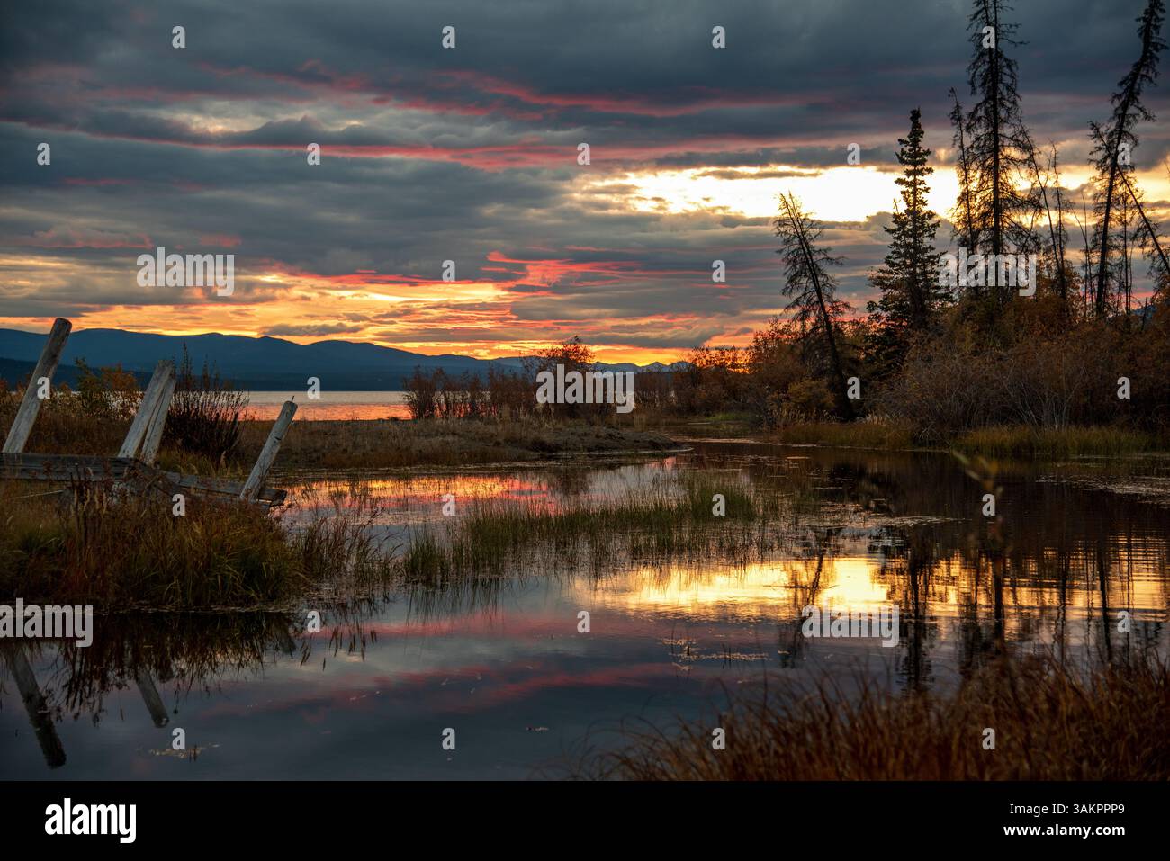 Splendido tramonto in Canada durante l'autunno con nuvole rosa e turbolente che si formano sopra un paesaggio settentrionale. Lago aperto che si riflette con il tramonto Foto Stock
