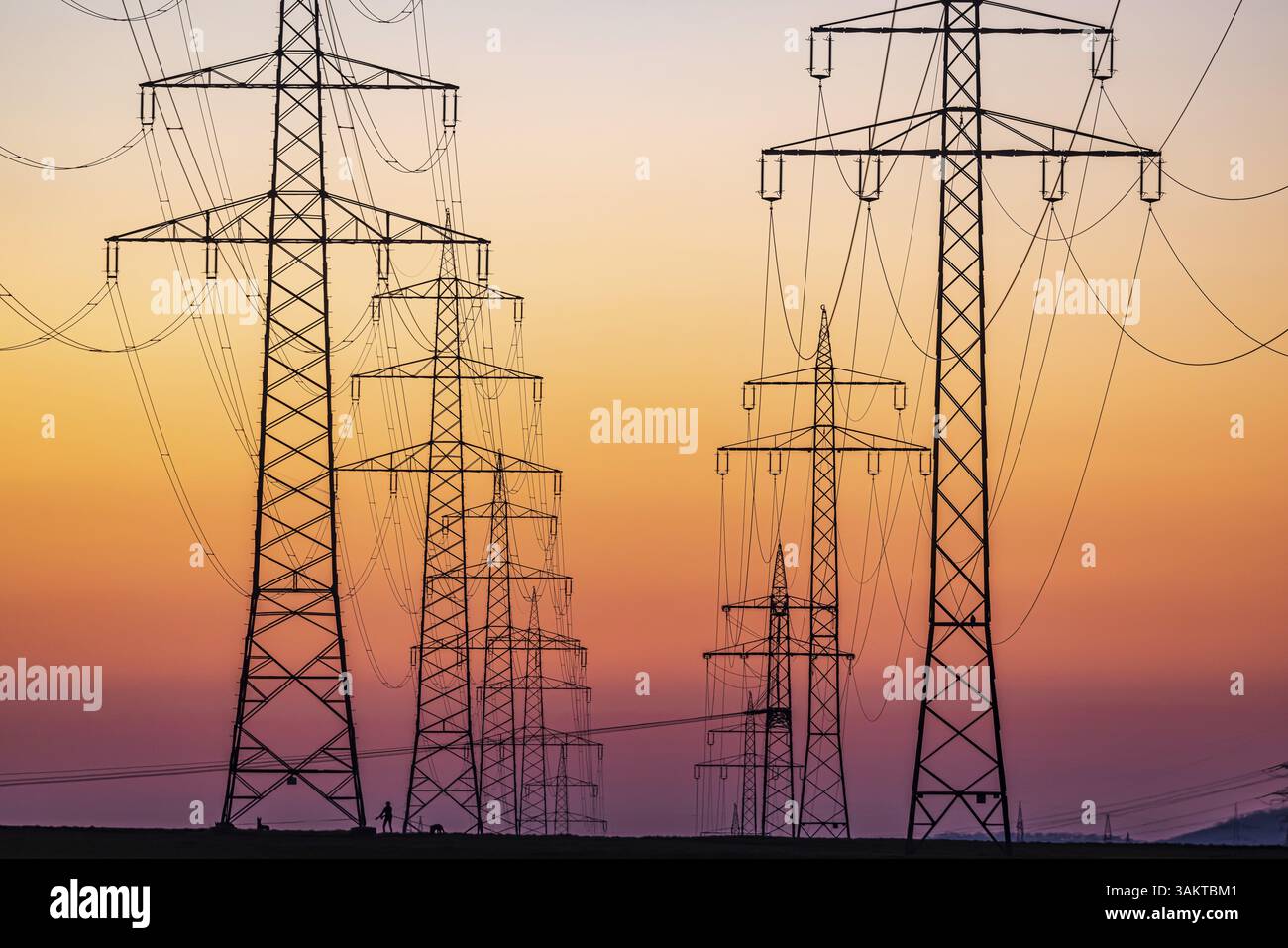 Piloni ad alta tensione, linee elettriche aeree al tramonto. Schwieberdingen, Baden-Wuerttemberg, Germania, Europa Foto Stock