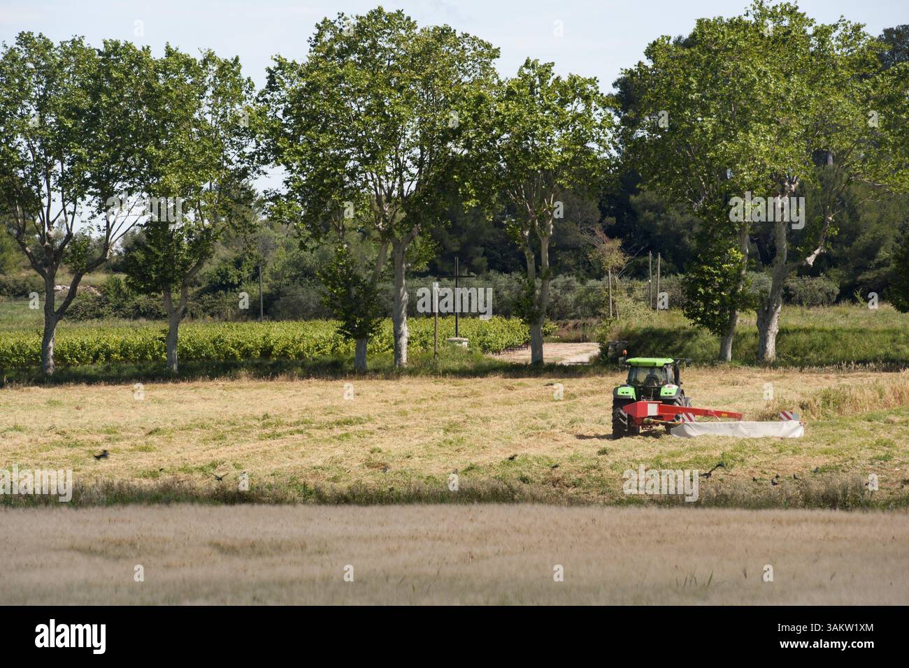 L'agricoltura francese paesaggio con la falciatura dell'erba Foto Stock
