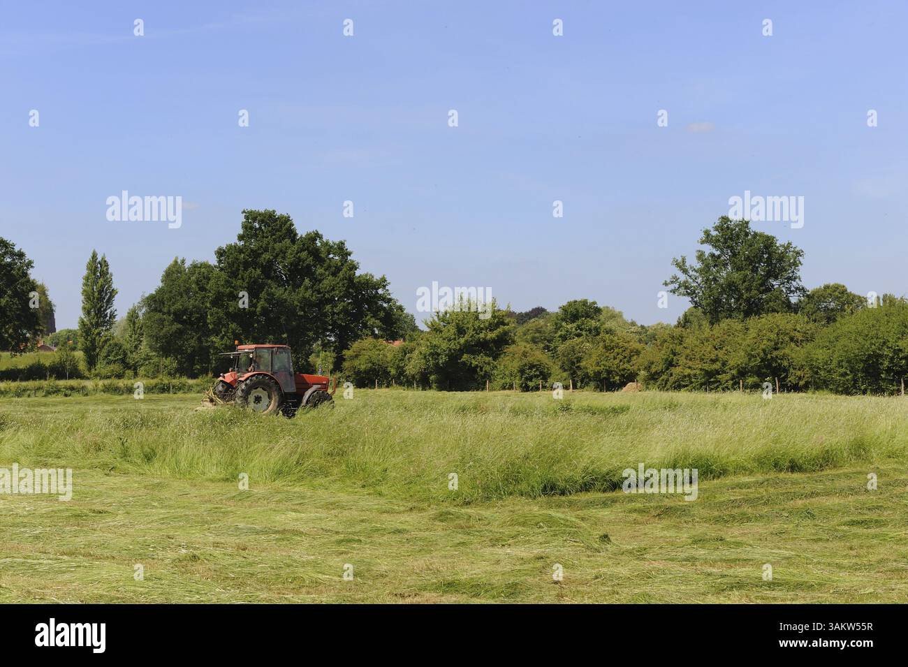 La falciatura dell'erba del paesaggio di campi Foto Stock
