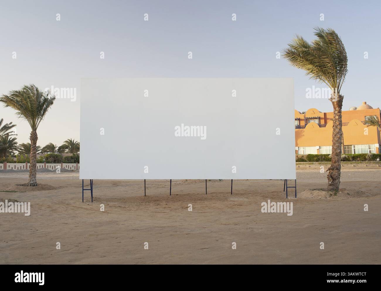Vuoto tabellone bianco con copyspace per la vostra pubblicità o film affiancato da due alberi di palma Foto Stock