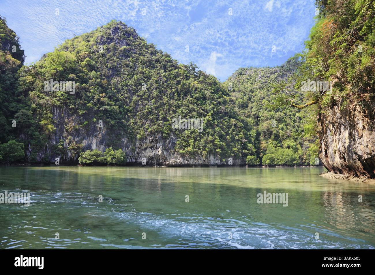 Acqua di smeraldo che lambisce le scogliere. Un'insenatura appartata al largo della costa della Thailandia Foto Stock