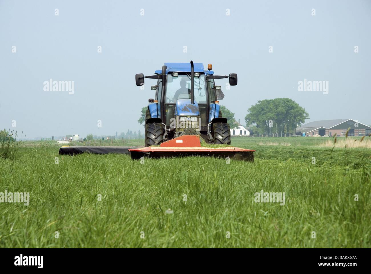 Falciare l'erba da un contadino in un terreno agricolo Foto Stock