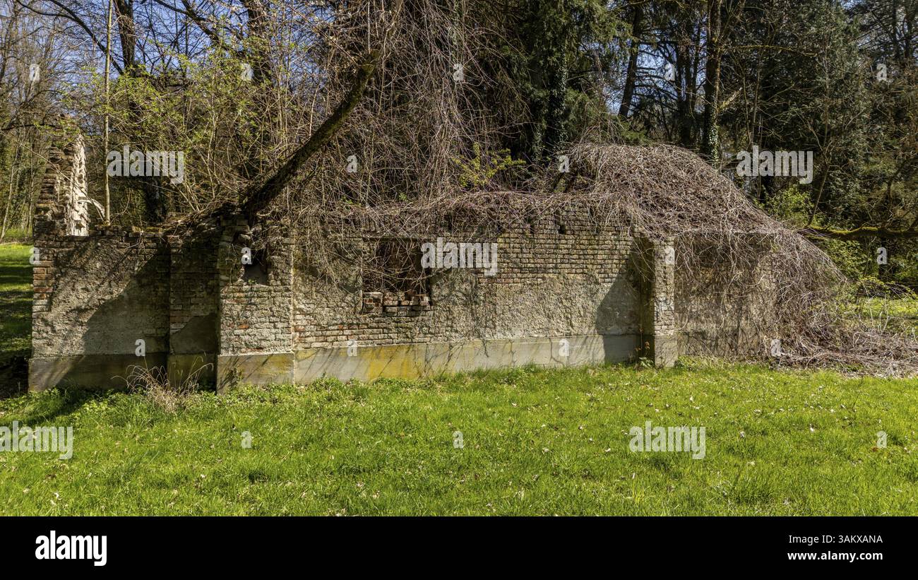 Edificio fatiscente in campagna, pesantemente coltivato, alla luce del sole del giorno, nuovo castello di Steinach, bassa Baviera Foto Stock