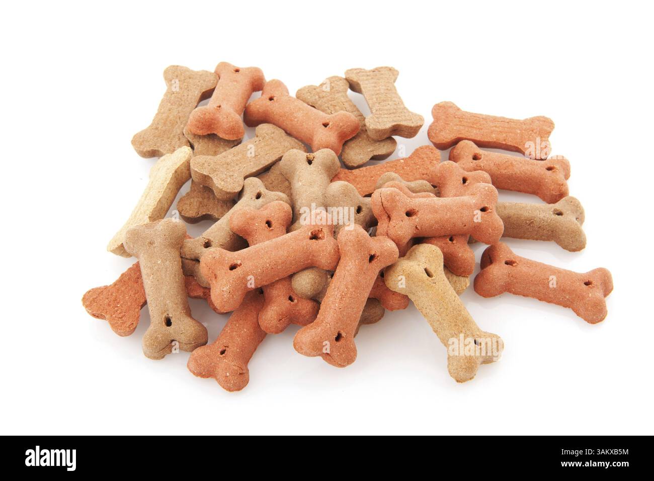 Ciotola con biscotti per cani per la giornata internazionale degli animali Foto Stock
