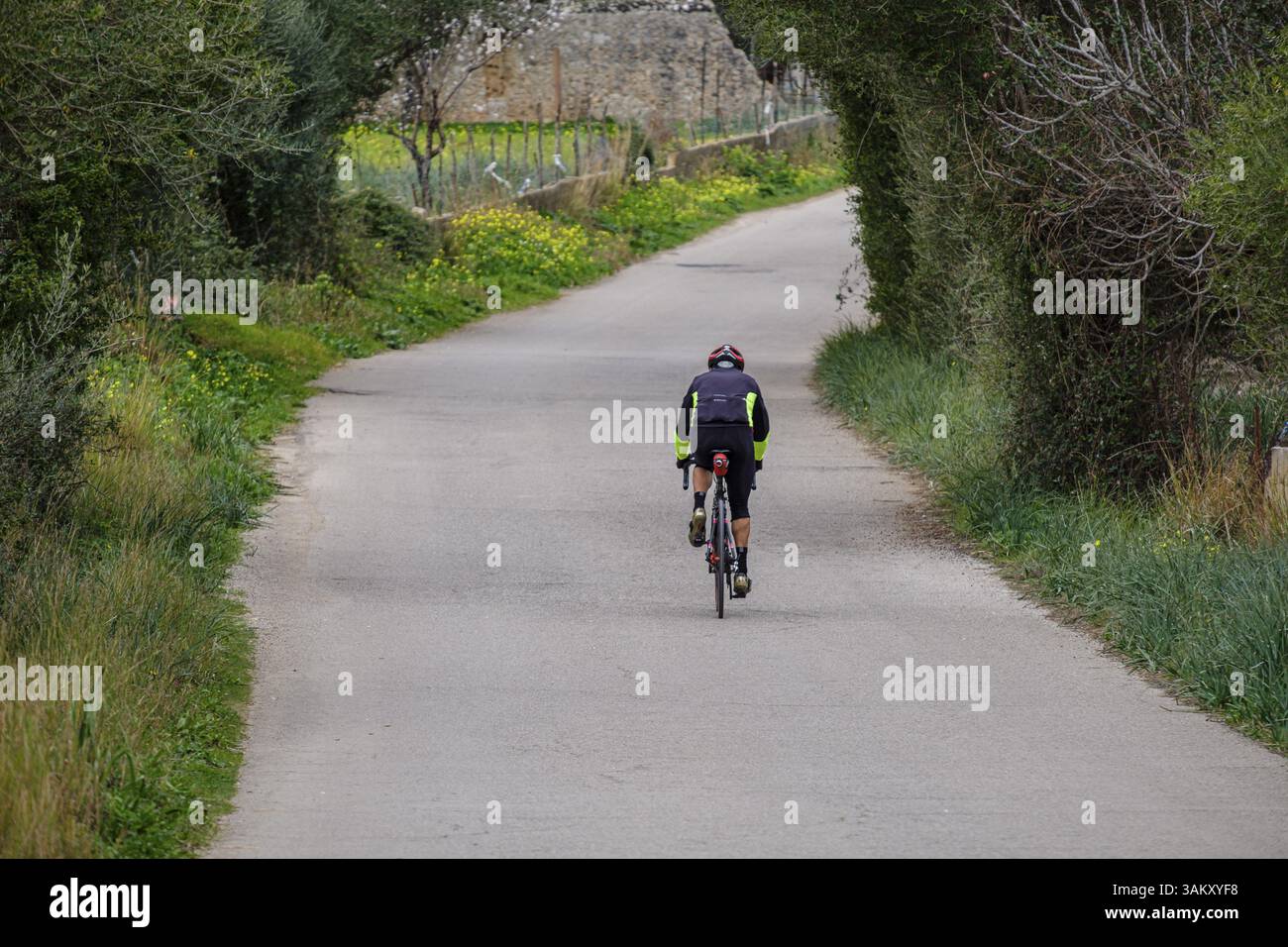 Ciclista su strada, Mancor de la Vall, Maiorca, Isole Baleari, Spagna, Europa Foto Stock