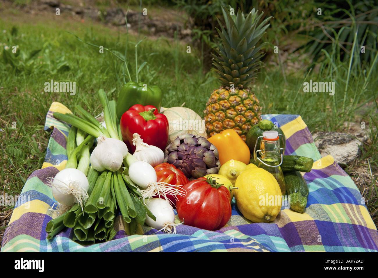 La frutta e la verdura in un territorio rurale ancora vita all'aperto Foto Stock