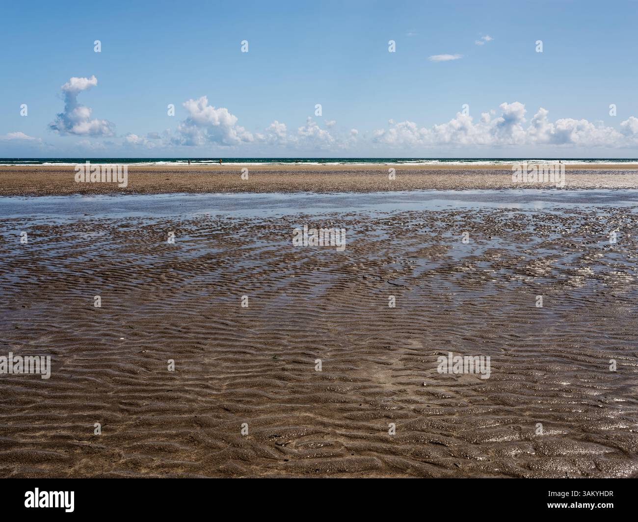 I visitatori apprezzano la bellezza serena di Inchydoney Beach, dove la marea rivela motivi sulla sabbia sotto un cielo blu brillante con nuvole sparse. La t Foto Stock