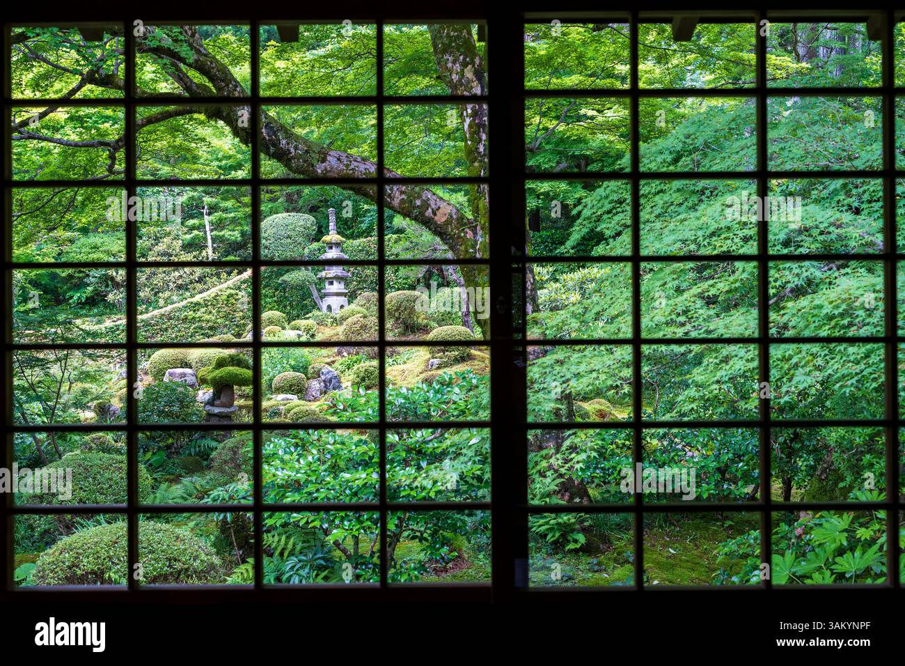 Giardino giapponese del tempio di Sanzen-in in estate. Ohara, Kyoto, Giappone. Foto Stock
