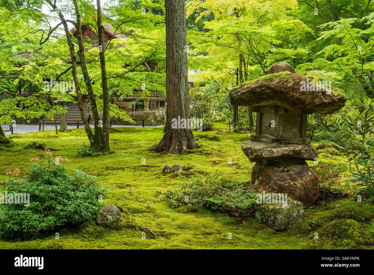 Giardino giapponese del tempio di Sanzen-in in estate. Ohara, Kyoto, Giappone. Foto Stock