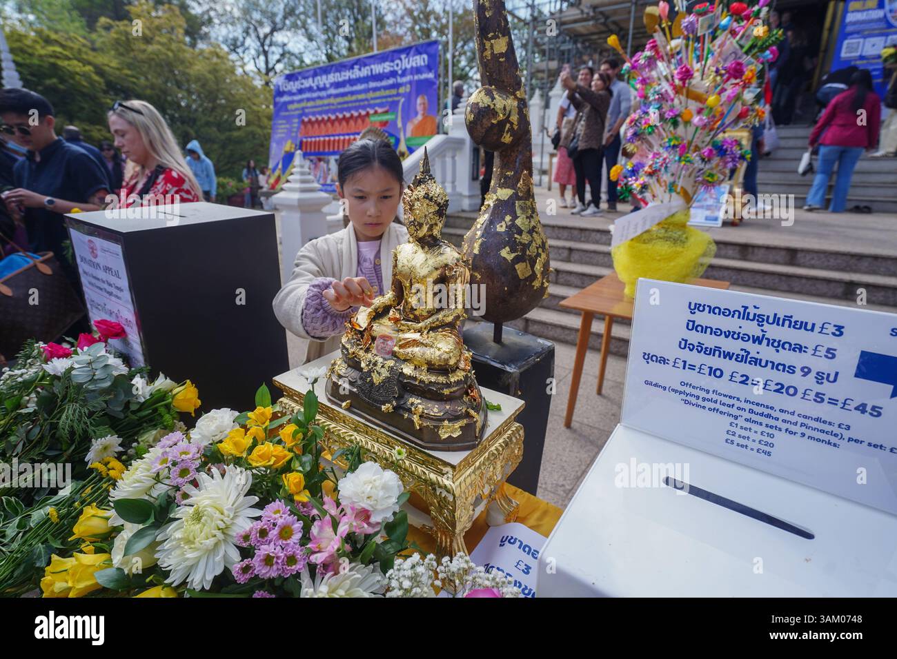 Londra Regno Unito 13 aprile 2025. Un giovane culto colloca la statua del Buddha ata alle foglie d'oro al festival tailandese del Capodanno di Songkran al Tempio Buddhapadipa a Wimbledon, a sud-ovest di Londra. Il festival simboleggia tradizionalmente il lavaggio dell'anno precedente che rappresenta la purificazione e un senso di rinnovamento e la gente visita i templi buddisti, dove portano offerte come cibo e denaro. Credit Amer Ghazzal/Alamy Live News Foto Stock