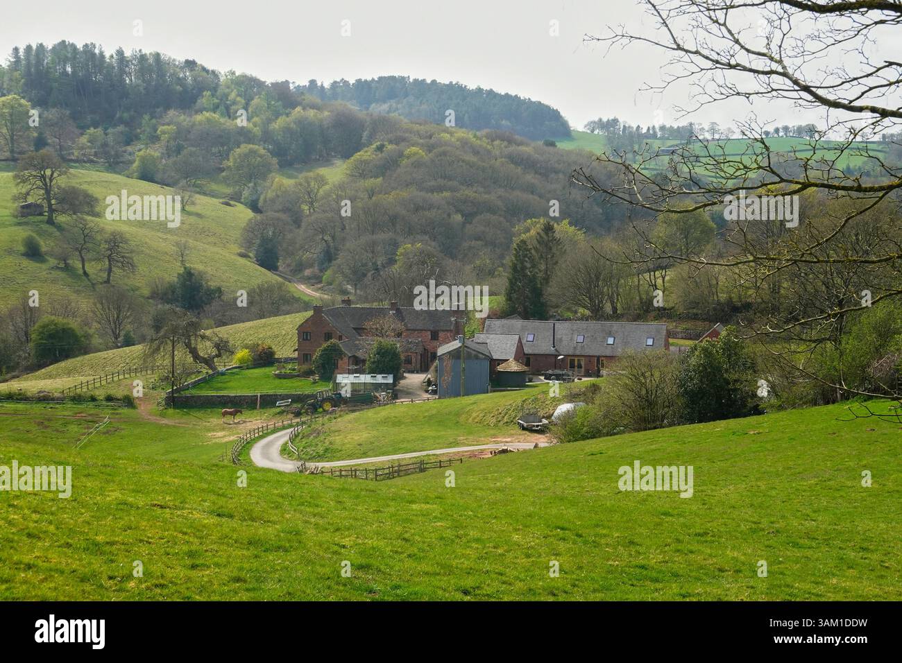 Una fattoria nella valle di Dimmingsdale e Furnace Forest Walks Forestry in Inghilterra Foto Stock