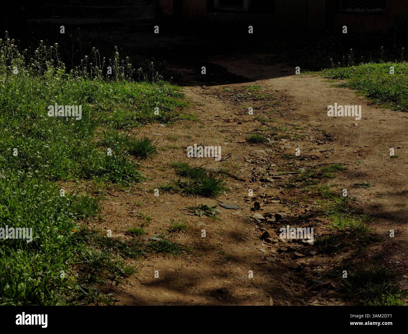 Percorso primaverile: Terra e erba lungo il sentiero del quartiere Foto Stock