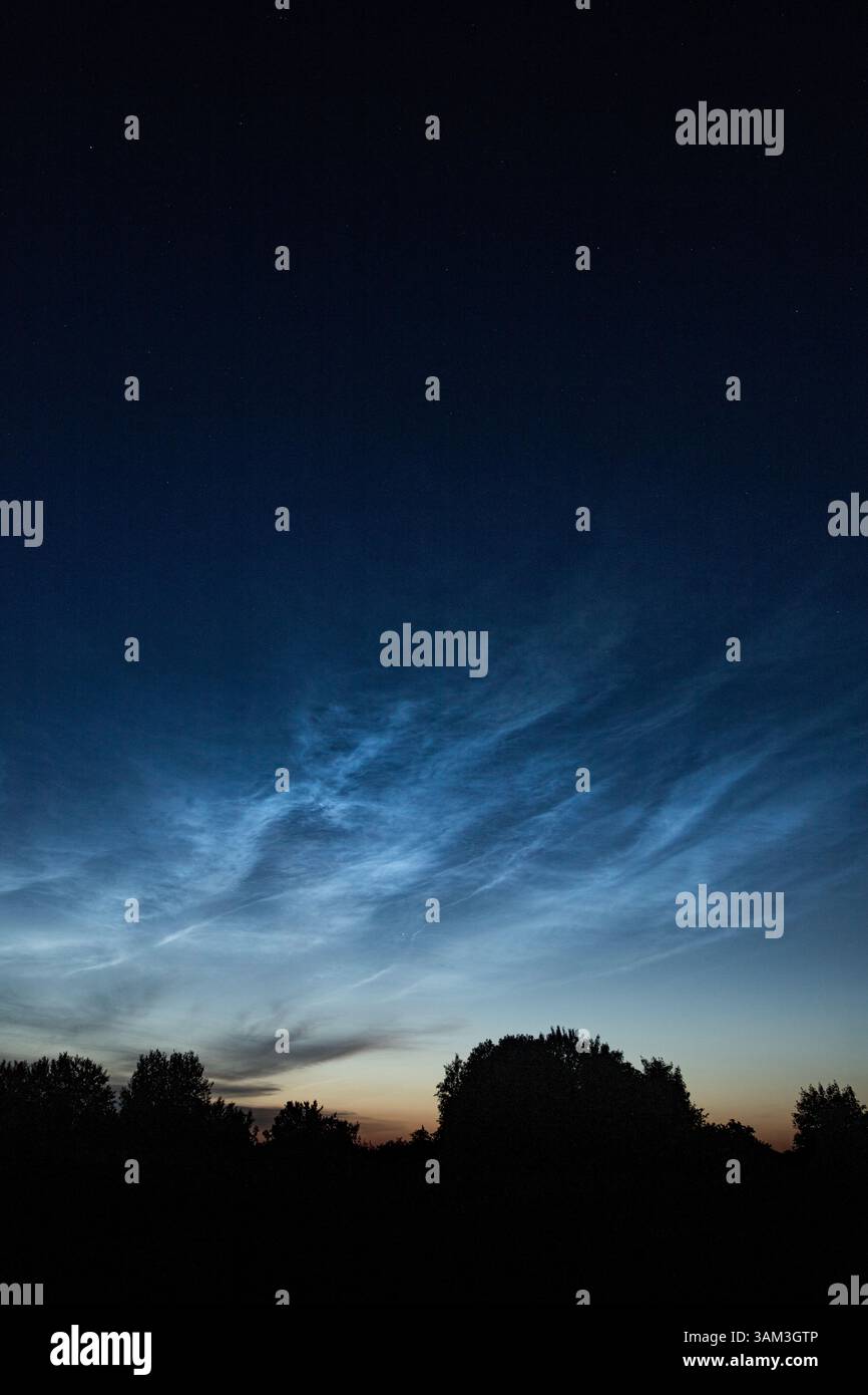 Delicate nuvole nocciolenti brillano nel cielo crepuscolo sopra una linea di alberi sagomati. La sfumatura blu intenso si dissolve nel morbido cielo arancione Foto Stock