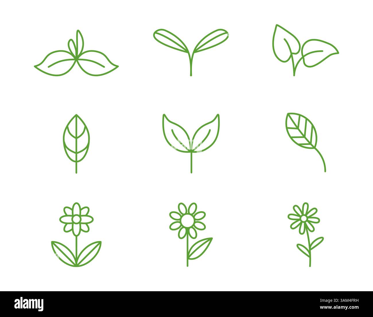 Un insieme di icone con piante, fogliame, fiori, simboli lineari naturali, loghi dedicati alla cura della natura. Evidenziare le questioni ambientali della natura, la cura delle piante, l'architettura paesaggistica. Illustrazione Vettoriale