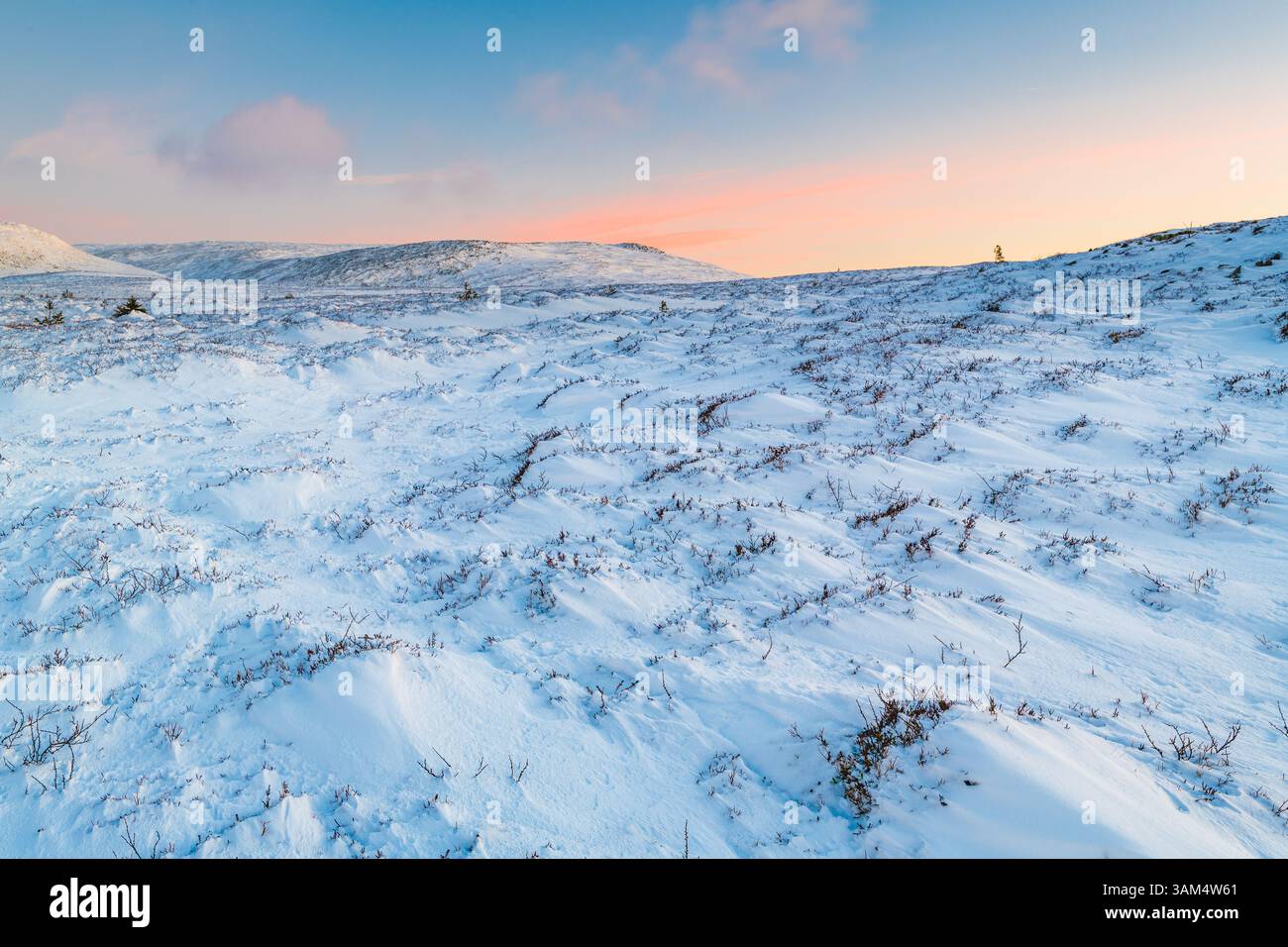 La neve ricopre il terreno accidentato delle montagne svedesi mentre il sole tramonta, gettando un caldo bagliore sul paesaggio invernale. Un ambiente tranquillo e pittoresco Foto Stock