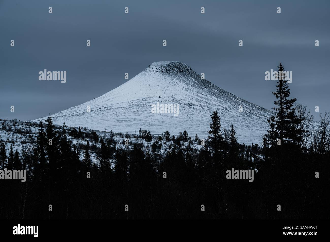 Una splendida montagna coperta di neve incombe su una tranquilla foresta invernale in Svezia, che mostra la bellezza naturale e la tranquillità del paesaggio innevato. Foto Stock