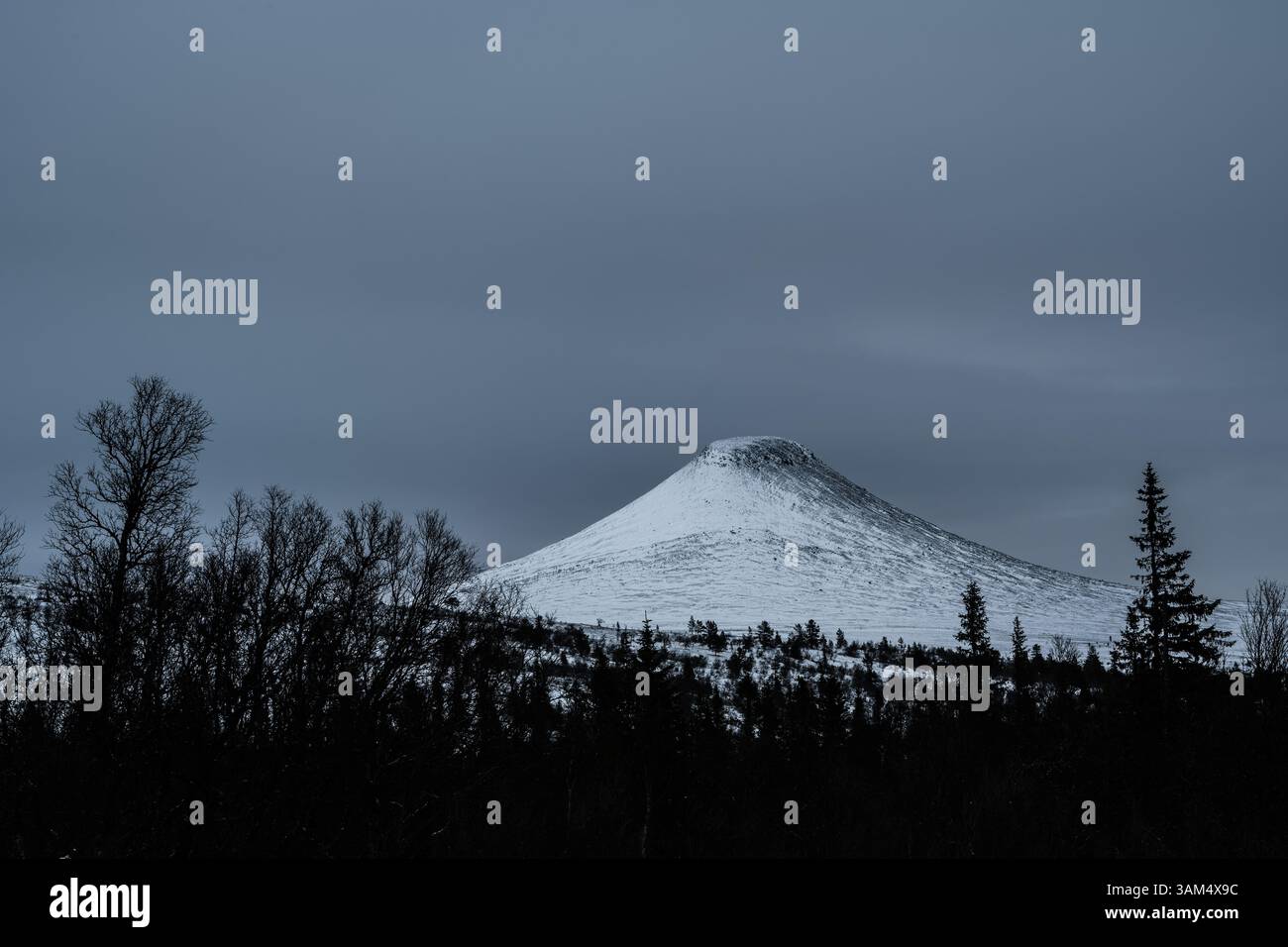 Un tranquillo paesaggio invernale presenta un'prominente montagna ricoperta di neve che si innalza sopra alberi scuri contro un cielo grigio e coperto in Svezia. I venti freddi sussurrano Foto Stock