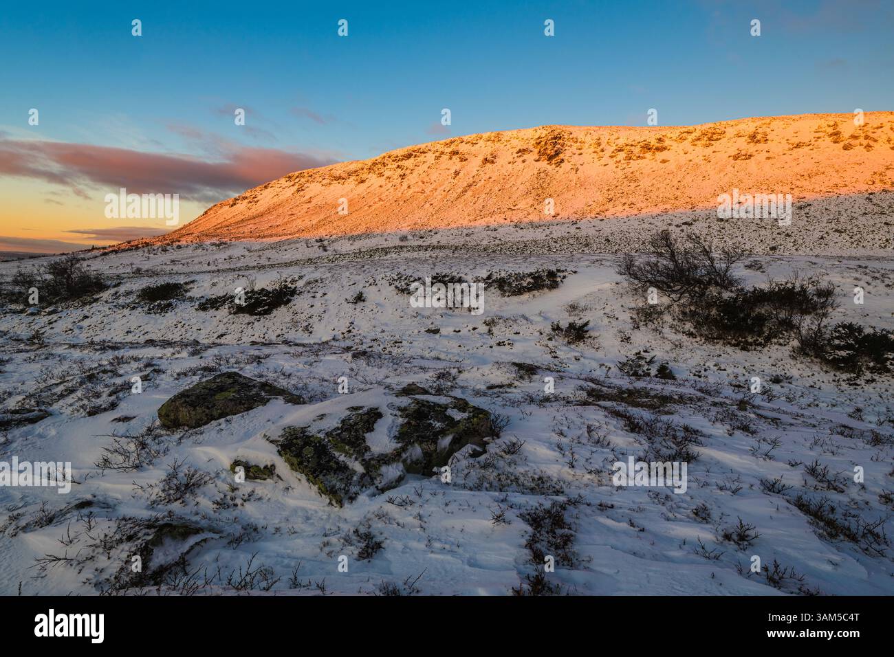 La neve ricopre le montagne della Svezia al tramonto, diffondendo calde sfumature nel paesaggio ghiacciato. La scena serena mostra la bellezza invernale della natura Foto Stock