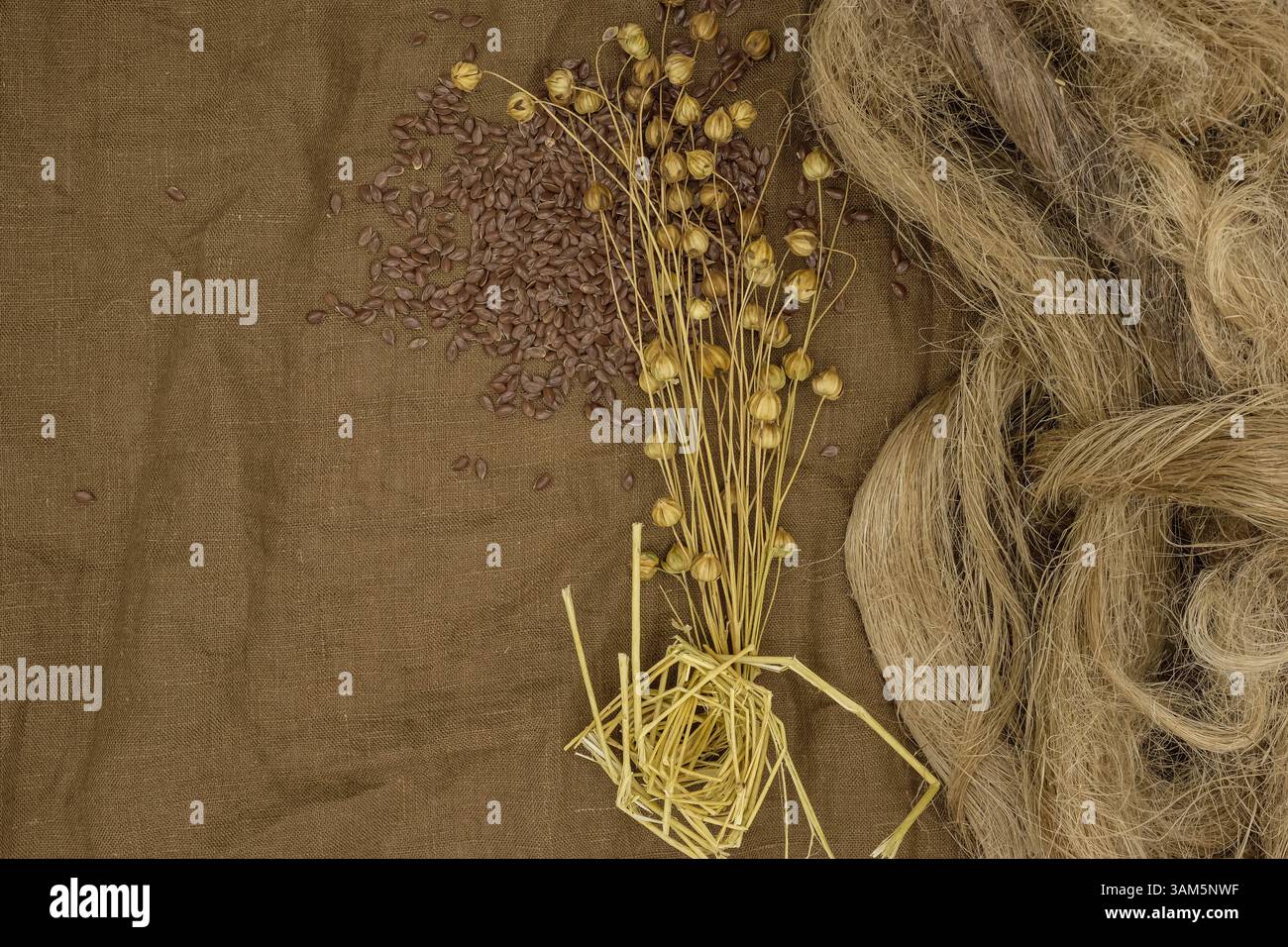 Composizione piatta di semi di lino, steli e fibre di lino grezze su tessuto di lino marrone. Eco-tessuti, abbigliamento biologico e tendenze moda sostenibili. Foto Stock