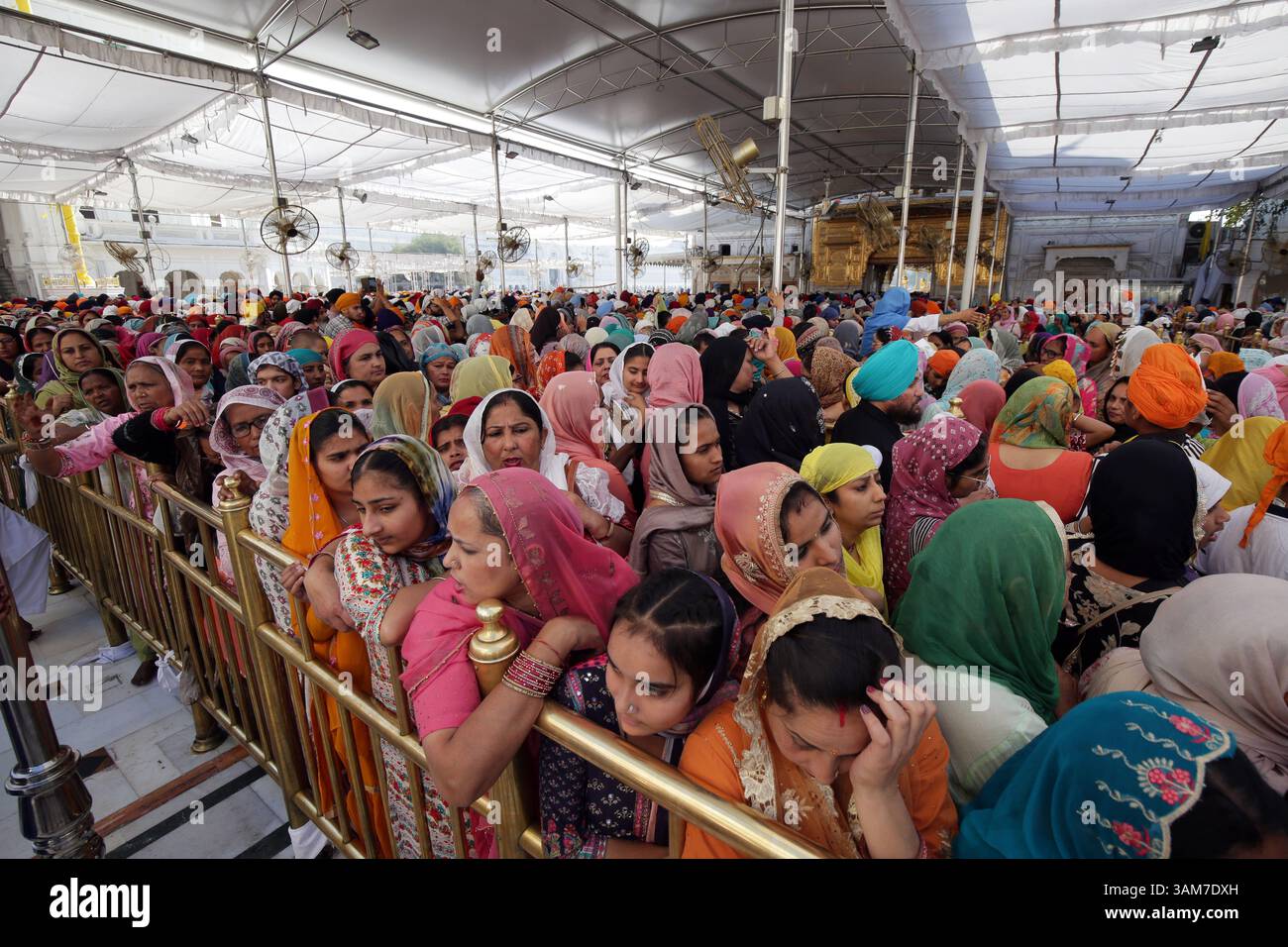 Le celebrazioni del festival Baisakhi al Tempio d'Oro, i devoti Sikh in India, in gran numero aspettano in coda per pagare l'obbedienza al Sanctum Sanctorum del Tempio d'Oro, il luogo più sacro dei Sikh in occasione del festival Visakhi o Baisakhi ad Amritsar, India, il 13 aprile 2025. Nel 1699 d.C., Guru Gobind Singh Ji, il decimo Guru Sikh, istituì il Panth Khalsa, unendo i Sikh sotto un unico ordine. Questo evento importante viene commemorato durante il festival Visakhi, che segna anche l'inizio del capodanno Sikh. L'occasione è celebrata con grande devozione religiosa ed enthusia Foto Stock