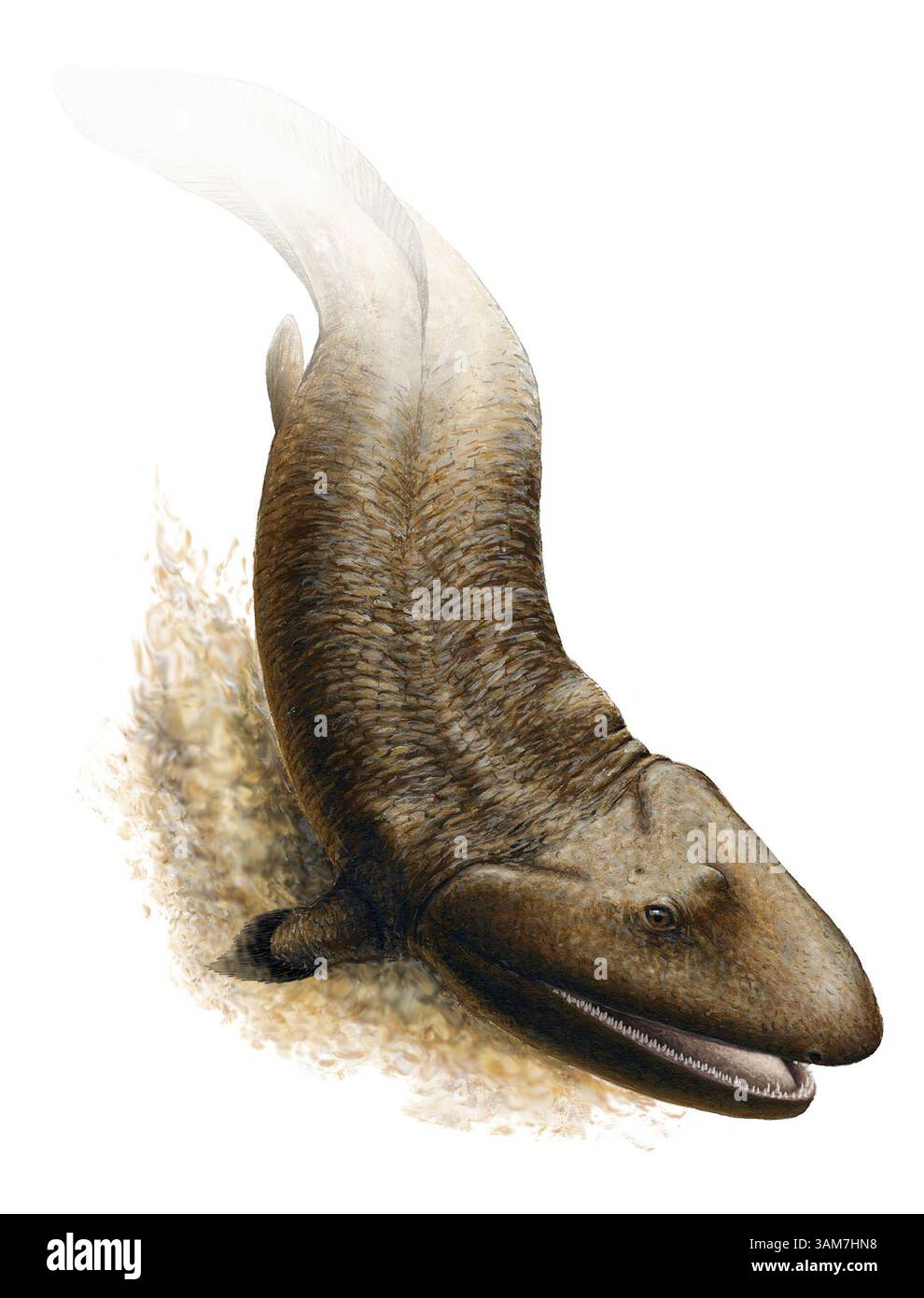 23 marzo 2006 - Stati Uniti - Tiktaalik roseae viene salutato come un collegamento mancante tra pesci e animali terrestri. Un nuovo fossile di 380 milioni di anni fa suggerisce che l'animale aveva pinne limblike, che avrebbero potuto essere usate per uscire dall'acqua, dicono gli scienziati. Apparentemente aveva anche costole forti per sostenere il suo tronco sulla terra; un muso lungo e largo per la caccia come un coccodrillo; e narici per respirare aria. (Illustrazione di Shawn Gould/National Geographic/KRT) (immagine di credito: © Shawn Gould/mct/ZUMAPRESS.com) Foto Stock