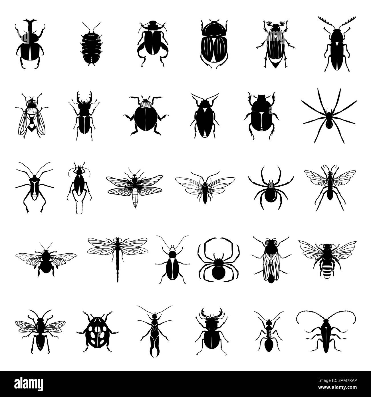 Raccolta di insetti neri isolati su sfondo bianco Illustrazione Vettoriale