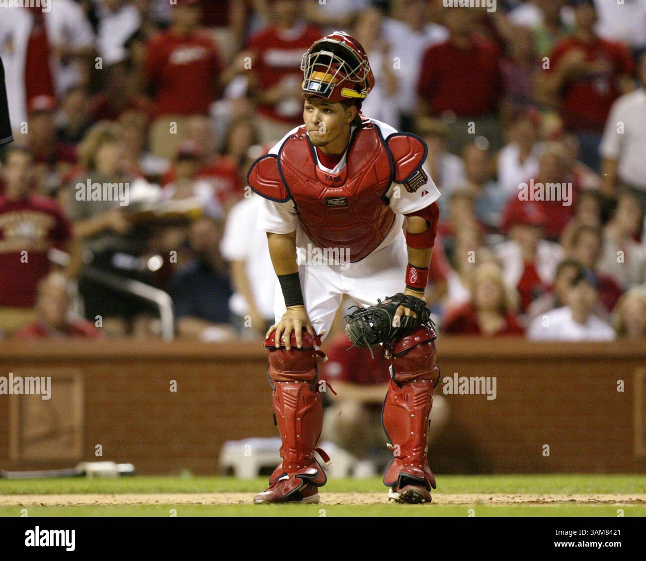 2 giugno 2006 - Stati Uniti - il ricevitore dei St. Louis Cardinals Yadier Molina guarda verso l'arbitro di casa Andy Fletcher dopo che Ronny Cedeno dei Chicago Cubs lo ha superato nel quinto inning, venerdì 2 giugno 2006, al Busch Stadium di St. Louis, Missouri. (Chris Lee/St Louis Post-Dispatch/KRT) (immagine di credito: © Chris Lee/mct/ZUMAPRESS.com) Foto Stock
