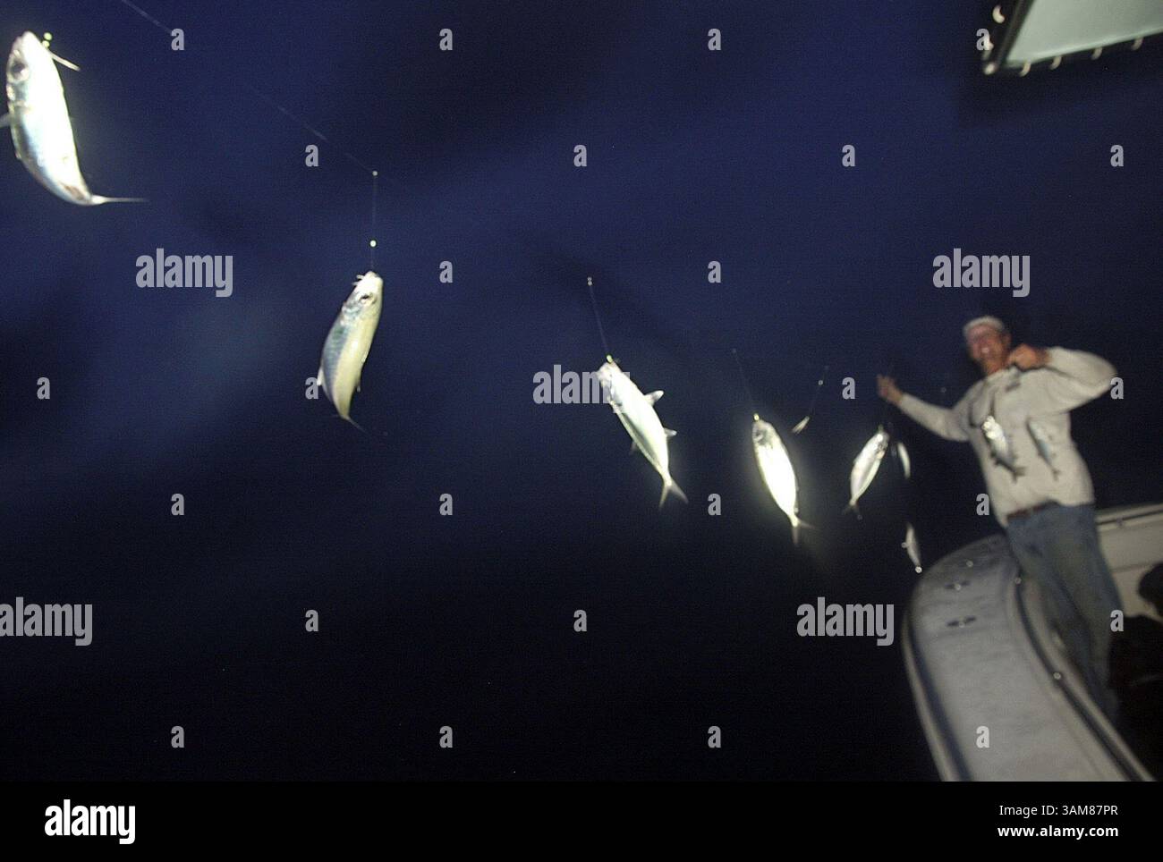 16 giugno 2006 - Stati Uniti - il capitano Jimmy Lewis tira una linea di ''occhi di Goggle'' alla sua barca al largo di Key Biscayne, Florida, nel giugno 2006. Lewis trascorre le prime ore del mattino a pescare pesci esche e poi li vende ad altri che si dirigono verso la giornata. (Patrick Farrell/Miami Herald/MCT) (immagine di credito: © Patrick Farrell/mct/ZUMAPRESS.com) Foto Stock