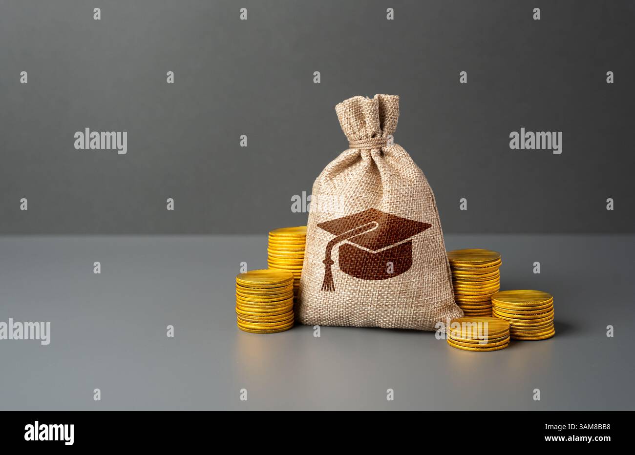 Borsa portamonete con monete e simbolo del cappello per studenti laureati. Risparmio per lezioni o borse di studio. Finanziamento di università, formazione specializzata o sviluppo di carriera. Foto Stock