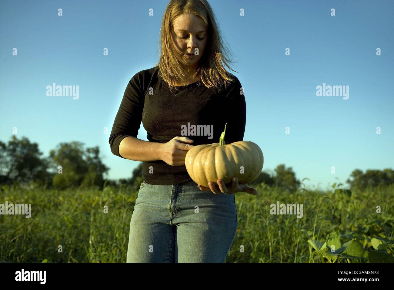 28 settembre 2006 - U.S. - la manager Lora Grubman guarda le zucche all'Angelic Organics di Caledonia, Illinois, nell'agosto 2006. (Bob fila/Chicago Tribune/MCT) (immagine di credito: © Bob fila/mct/ZUMAPRESS.com) Foto Stock