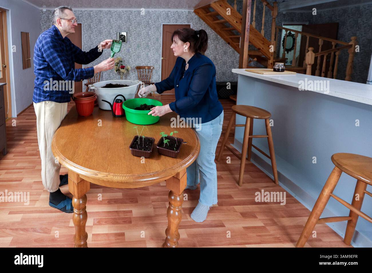 Una coppia europea matura sta reintando le piante a tavola rotonda, lavorando insieme all'interno in una casa luminosa con luce naturale, concentrandosi sulle attività di giardinaggio. Foto Stock