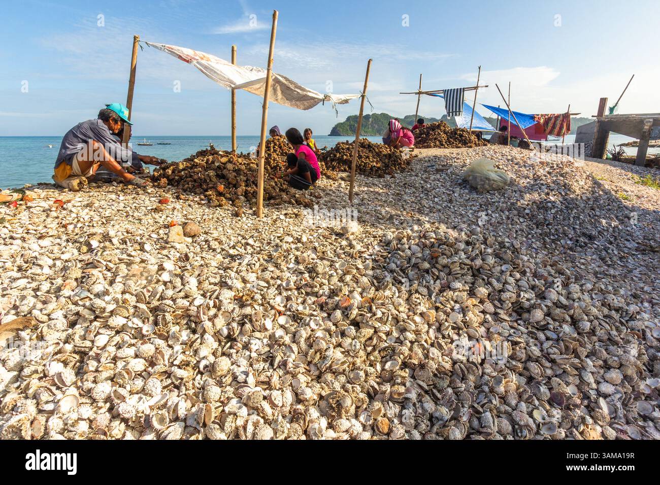 I pescatori locali di Iloilo, Filippine, estraggono a mano la carne commestibile dalle conchiglie di capesante, preparando il pescato fresco per la vendita nei mercati vicini Foto Stock