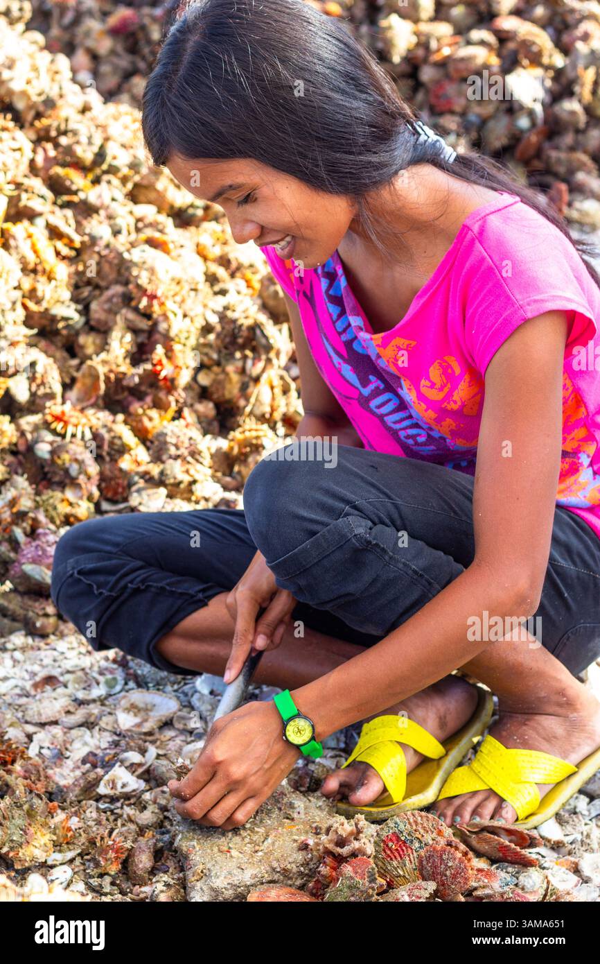 I pescatori locali di Iloilo, Filippine, estraggono a mano la carne commestibile dalle conchiglie di capesante, preparando il pescato fresco per la vendita nei mercati vicini Foto Stock