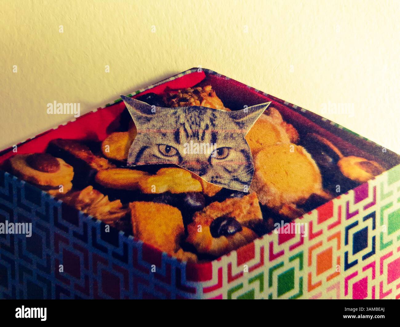 Un gatto nascosto in una scatola di biscotti Foto Stock