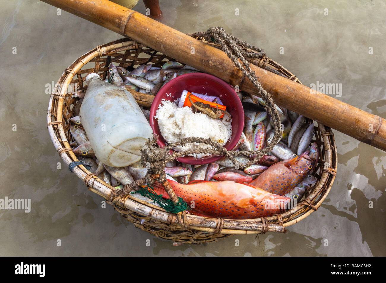 Vari tipi di pesce e prodotti marini all'interno di un contenitore presso un mercato locale di Iloilo, Filippine Foto Stock